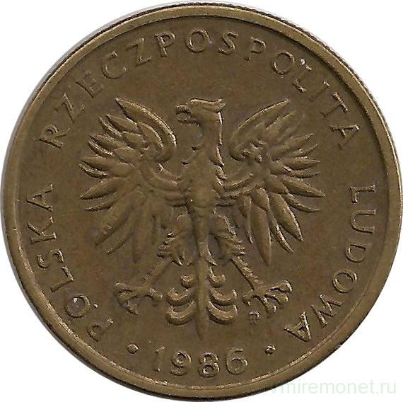 5 злотых в рублях. 2 Злотых 1981. Польская монета 2 ZK. Польские монеты 1620. Польские монеты 1941.