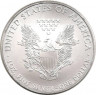 Монета. США. 1 доллар 2010 год. Шагающая свобода. рев