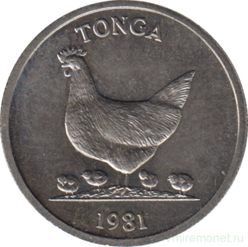 Монета. Тонга. 5 сенити 1981 год. ФАО. 