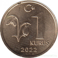 Монета. Турция. 1 куруш 2022 год.