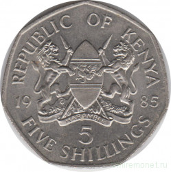Монета. Кения. 5 шиллингов 1985 год.