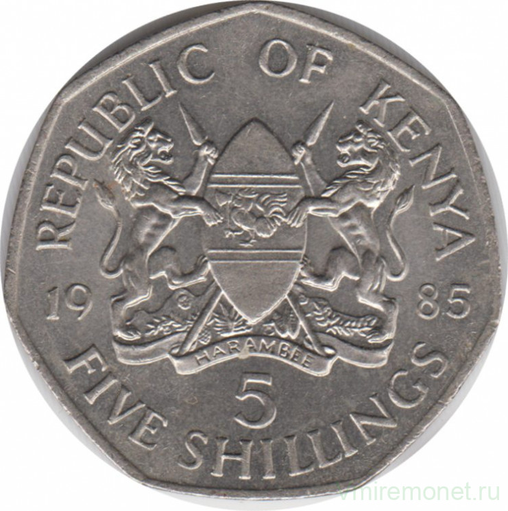 Монета. Кения. 5 шиллингов 1985 год.