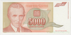 Банкнота. Югославия. 5000 динаров 1993 год. Тип 128.