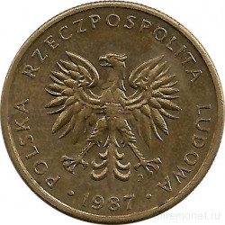 Монета. Польша. 5 злотых 1987 год.