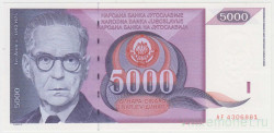 Банкнота. Югославия. 5000 динаров 1991 год.