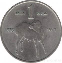 Монета. Сомали. 1 шиллинг 1976 год.