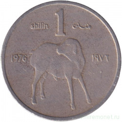Монета. Сомали. 1 шиллинг 1976 год.
