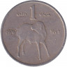 Монета. Сомали. 1 шиллинг 1976 год.