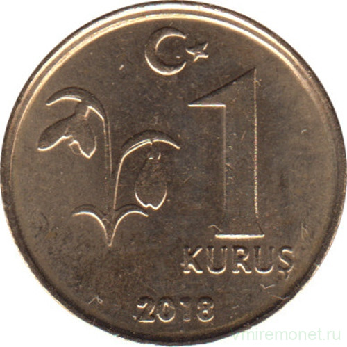 Монета. Турция. 1 куруш 2018 год.