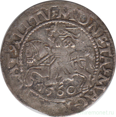 Монета. Литва. Полугрош 1560 год. Сигизмунд II Август.