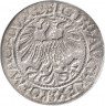 Монета. Литва. Полугрош 1561 год. Сигизмунд II Август. рев.