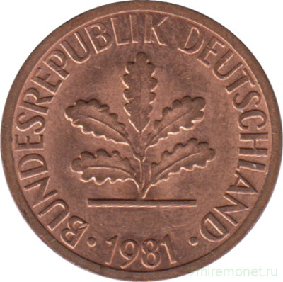 Монета. ФРГ. 1 пфенниг 1981 год. Монетный двор - Мюнхен (D).