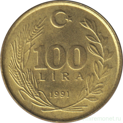 Монета. Турция. 100 лир 1991 год.