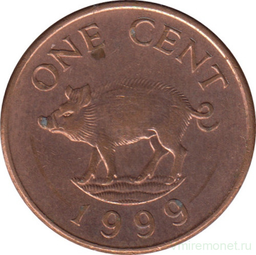 Монета. Бермудские острова. 1 цент 1999 год.