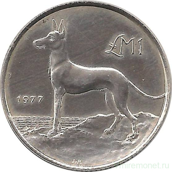 Монета. Мальта. 1 фунт 1977 год. Собака.