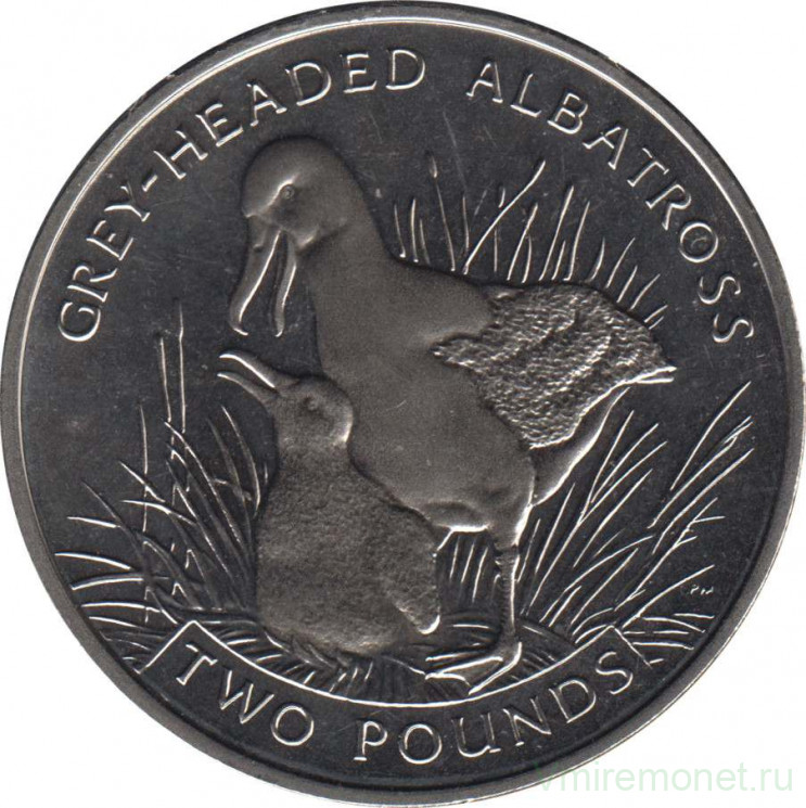 Монета. Великобритания. Южная Георгия и Южные Сэндвичевы острова. 2 фунта 2006 год. Сероголовый альбатрос.