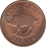 Монета. Бермудские острова. 1 цент 2004 год. ав.