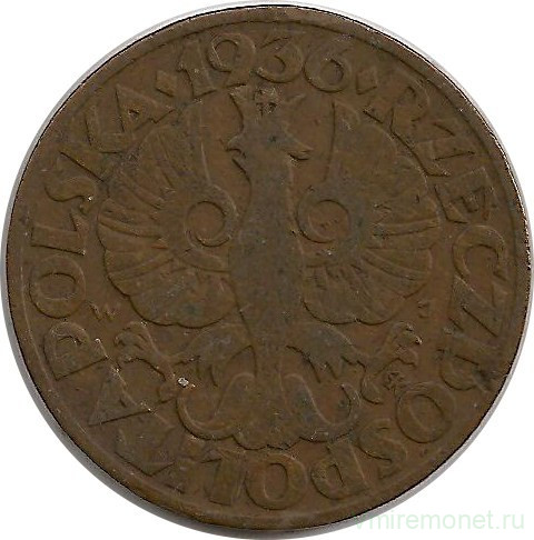 Монета. Польша. 5 грошей 1936 год.