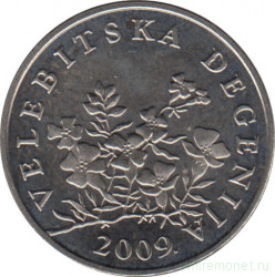 Монета. Хорватия. 50 лип 2009 год.