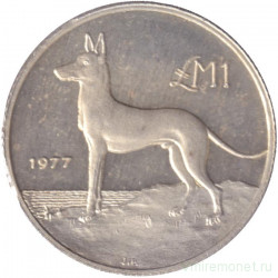 Монета. Мальта. 1 лира 1977 год. Мальтийская охотничья (Фараонова) собака.