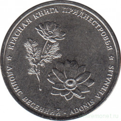 Монета. Приднестровская Молдавская Республика. 1 рубль 2021 год. Адонис весенний.
