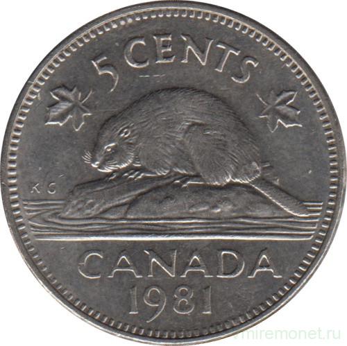 Монета. Канада. 5 центов 1981 год.