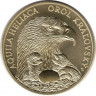Монета. Словакия. 5 евро 2025 год. Орел-могильник.