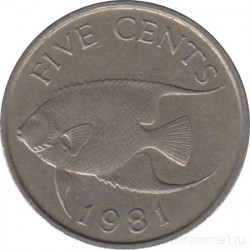 Монета. Бермудские острова. 5 центов 1981 год.