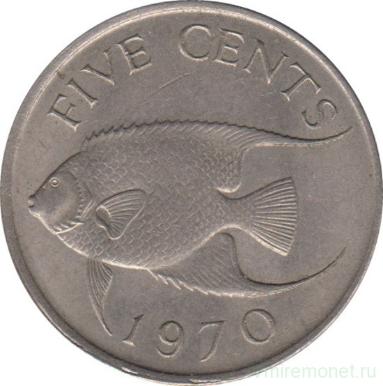 Монета. Бермудские острова. 5 центов 1970 год.