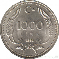 Монета. Турция. 1000 лир 1993 год.