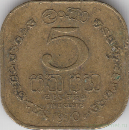 Монета. Цейлон (Шри-Ланка). 5 центов 1970 год.