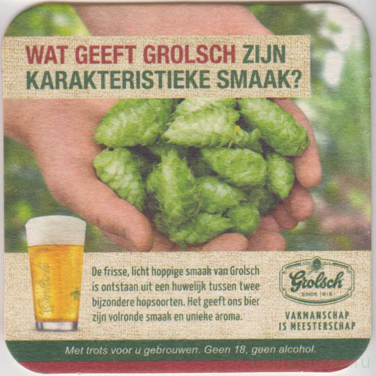 Подставка. Пиво "Golsch". Что придает "Golsch" характерный вкус?. Нидерланды. (Квадрат).