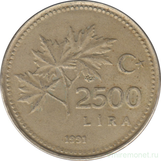 Монета. Турция. 2500 лир 1991 год.