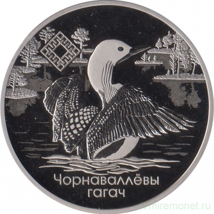 Монета. Беларусь. 1 рубль 2021 год.  Заказник "Ельня", Чернозобая гагара.