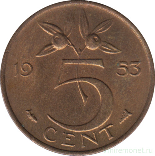 Монета. Нидерланды. 5 центов 1953 год.