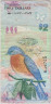 Банкнота. Бермудские острова. 2 доллара 2009 год. Тип 57а. ав.