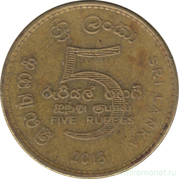 Монета. Шри-Ланка. 5 рупий 2013 год.