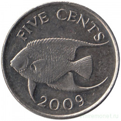 Монета. Бермудские острова. 5 центов 2009 год. 