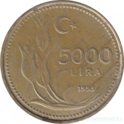 Монета. Турция. 5000 лир 1993 год.