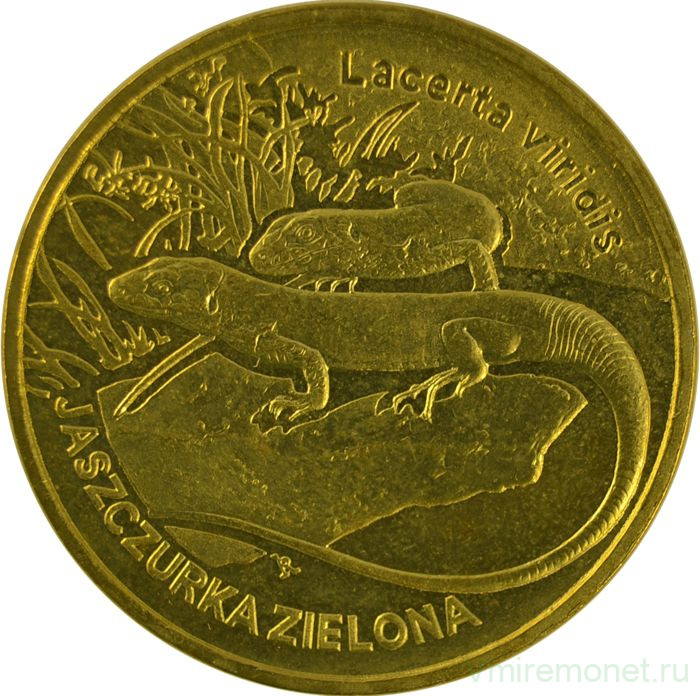 Монета. Польша. 2 злотых 2009 год. Европейская зелёная ящерица.