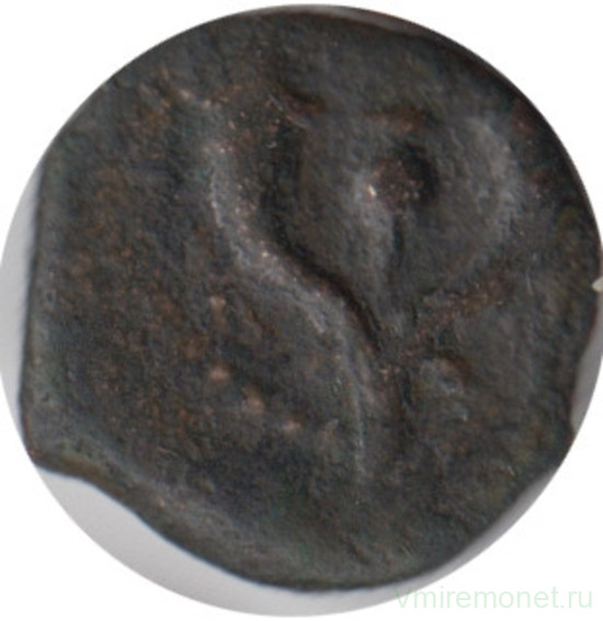 Монета. Иудея. 1 прута 103-76г. до н.э. Александр Яннай. Библейская монета "Лепта Вдовы".