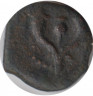 Монета. Иудея. 1 прута 103-76г. до н.э. Александр Яннай. Библейская монета "Лепта Вдовы". ав.