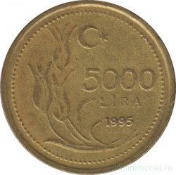 Монета. Турция. 5000 лир 1995 год. Крупная дата.