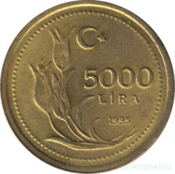 Монета. Турция. 5000 лир 1995 год. Мелкая дата.