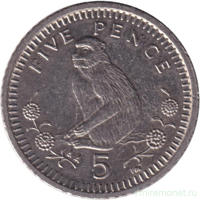 Монета. Гибралтар. 5 пенсов 2001 год. AA.