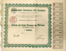 Акция. Франция. Париж. АО "COMPAGNIE CENTRALE DES ALCOOLS". Акция на предъявителя в 100 франков 1905 год. ав.
