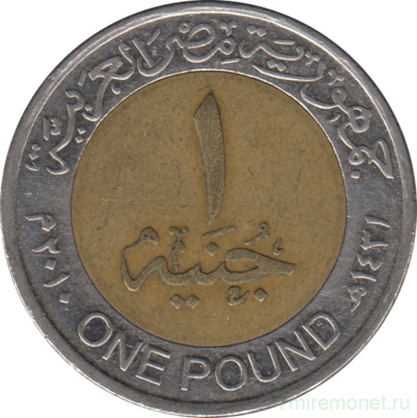 Монета. Египет. 1 фунт 2010 год.