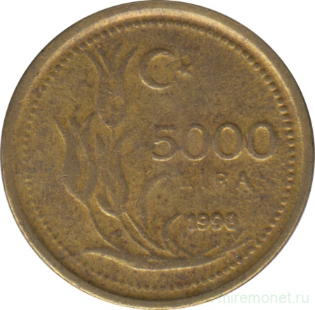 Монета. Турция. 5000 лир 1998 год. 6 грамм.