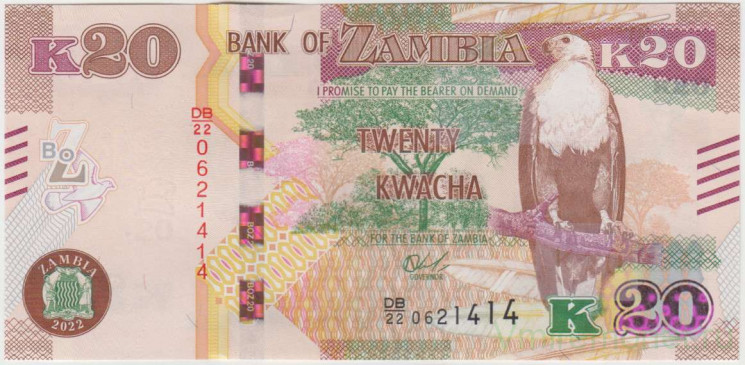 Банкнота. Замбия. 20 квач 2022 год. Тип 59.