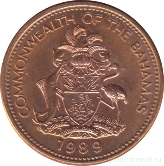 Монета. Багамские острова. 1 цент 1989 год.